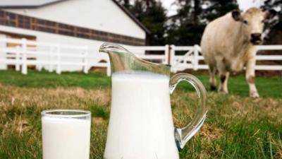 Средняя цена реализации молока в Украине за 8 месяцев выросла на 15,8%