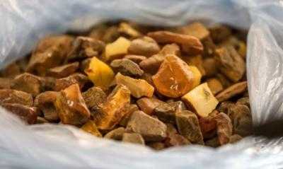 На Волыне за незаконную добычу янтаря возбуждено более 80 уголовных дел