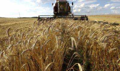 За сутки Украина экспортировала 9,8 млн тонн зерна