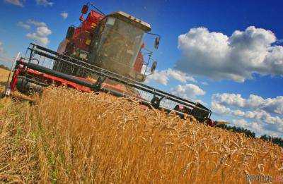 Украинские аграрии собрали 45 млн тонн зерновых - А.Павленко