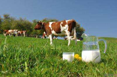 В Украине закупочные цены на сырьевое молоко выросли на 3-6%