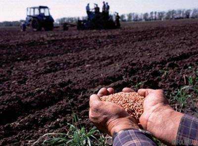 Сельхозпроизводители засеяли озимыми 6 млн га - Минагрополитики