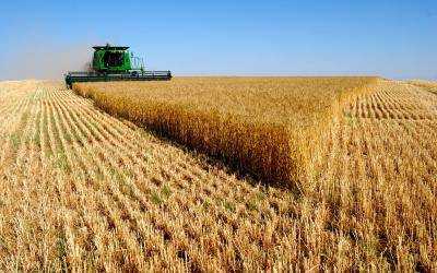 Валовой сбор зерна ожидается на уровне 59,2 млн тонн