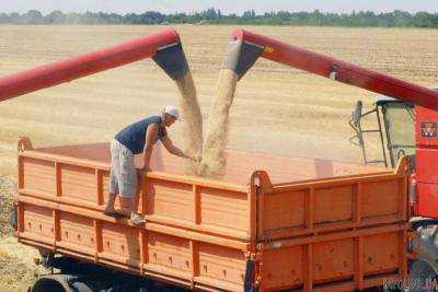 Украина. Аграрии намолотили 57,1 млн тонн зерна