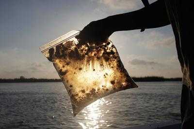 На Сахалине устанавливают объем утечки нефтепродуктов с танкера