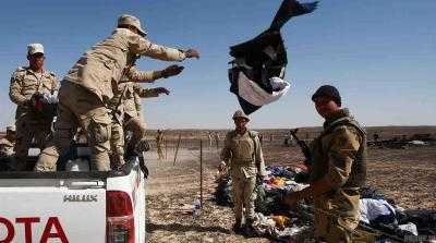 Экспертиза генетических останков погибших в авиакатастрофе самолета А321 завершена