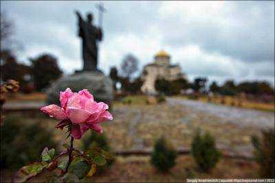 В Крыму накануне новогодних праздников зацвели розы