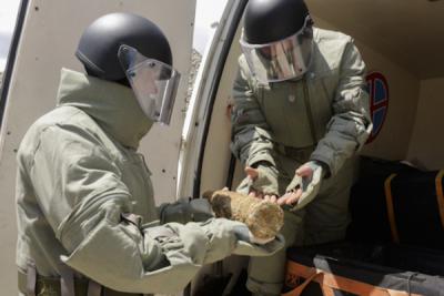 Сотрудники правоохранительных органов Каира обезвредили два самодельных взрывных устройства