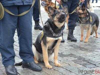 В Киевском районном суде Одессы искали взрывчатку