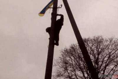 Спецназ поднял флаг Украины в оккупированном Зайцево. Видео