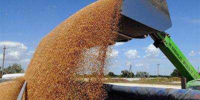 На сегодня Украина экспортировала 25,6 млн тонн зерновых