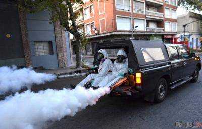 В США беременным рекомендуют не ездить на Олимпиаду-2016 из-за вируса Зика