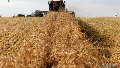 Украина экспортирует агропродукцию в 190 стран мира - Павленко