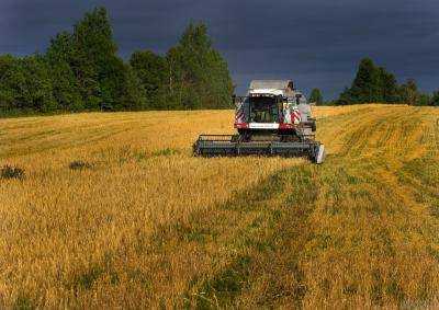 Более 20 аграрных предприятий будут приватизированы в ближайшее время