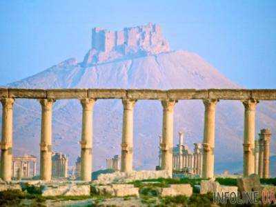 Россия поможет Сирии разминировать Пальмиру