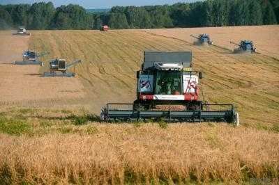 Доступ к израильским агротехнологиям в рамках сотрудничества Украины и Израиля получат 35 тыс. украинских фермеров