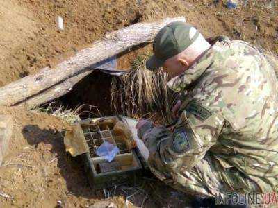 В Донецкой области нашли тайник с боеприпасами