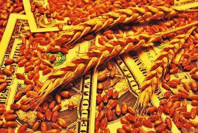 Внутренние закупочные цены на зерновые с начала года выросли