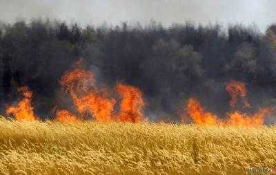 Во Львовской области сгорело почти 4 га леса