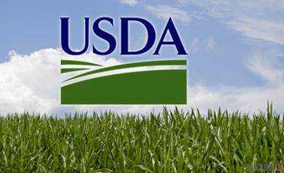 Министерство сельского хозяйства США повысило прогноз экспорта кукурузы из Украины на 200 тыс. тонн – до 15,7 млн тонн