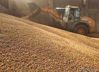 Украина экспортировала 31,915 млн тонн зерновых