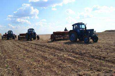 Сельхозпроизводители Украины посеяли сегодня ранних зерновых культур на площади 2,3 млн га