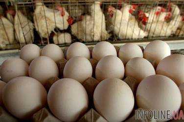 В стране за три месяца производство яиц сократилось почти на 20%