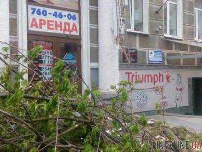 В Харькове дерево упало на девушку