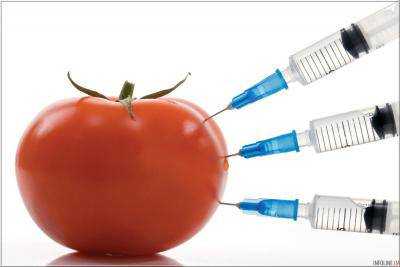 В США признали генномодифицированные продукты безопасными для человека