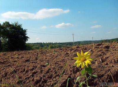 В Кировоградской области вернули в госсобственность землю стоимостью более 4 млн грн