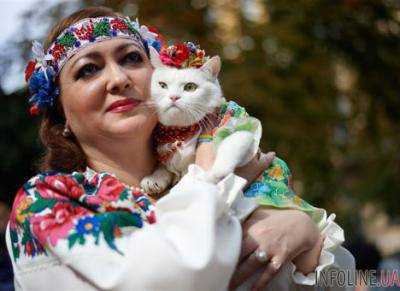 Сегодня в Украине День вышиванки