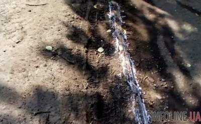 В Омске бравые коммунальщики к празднику покрасили грязь во дворе. Видео