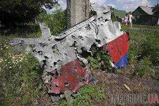 Министерство иностранных дел  РФ вызовет посла Нидерландов за доклад о MH17