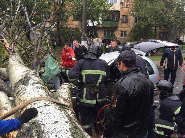 В Одессе из-за непогоды на авто упало дерево, водитель погиб