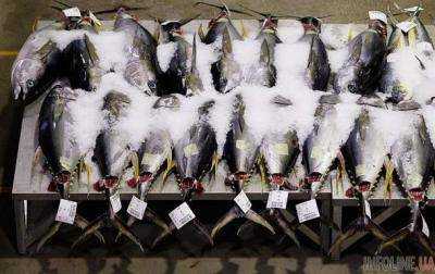 Список «запрещённых» для ввоза в РФ продуктов уменьшился