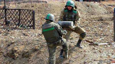 Германия в этом году выделит полмиллиона евро на разминирование востока Украины