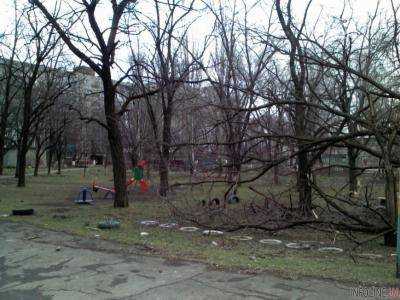 В Ужгороде на девочку упало дерево