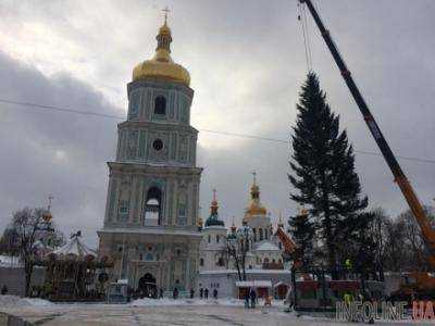 В Киеве установили главную елку Украины