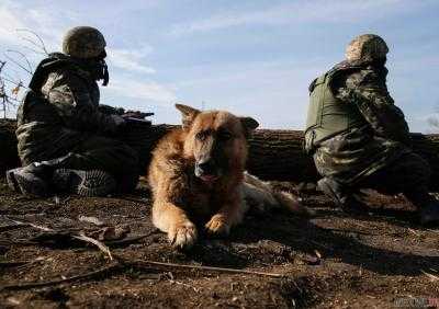 В зоне АТО за минувшие сутки погибших и раненых среди украинских военных нет