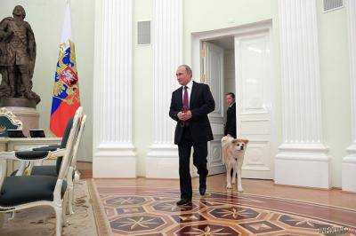 Президент России Владимир Путин показал японским журналистам свою собаку