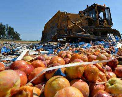 С 2015 года в России уничтожили почти 11 тыс. тонн санкционных продуктов