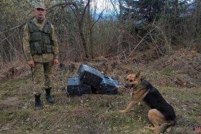 На Буковине пограничники обнаружили тайник с сигаретами