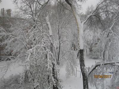 В Украине сегодня будет холодно