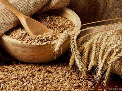 Назван главный экспортер украинской пшеницы