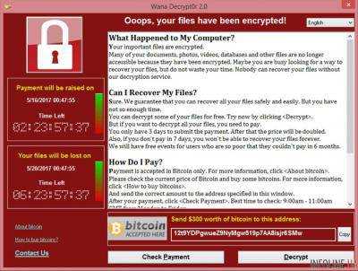 В США назвали вероятных создателей вируса WannaCry