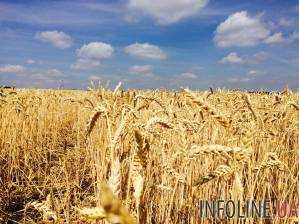 Украина экспортировала почти 4 млн тонн зерна по 2017/2018 маркетинговый год