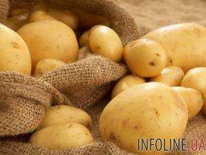 Больше всего украинского картофеля купила Беларусь