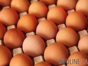 В Украине выросло производство яиц