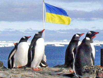 Пингвины и тюлени: полярники записали новогоднее поздравление для украинцев.Видео