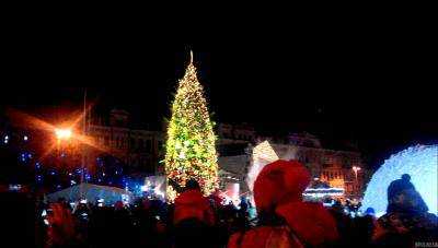 Главную новогоднюю елку страны уберут 15 января